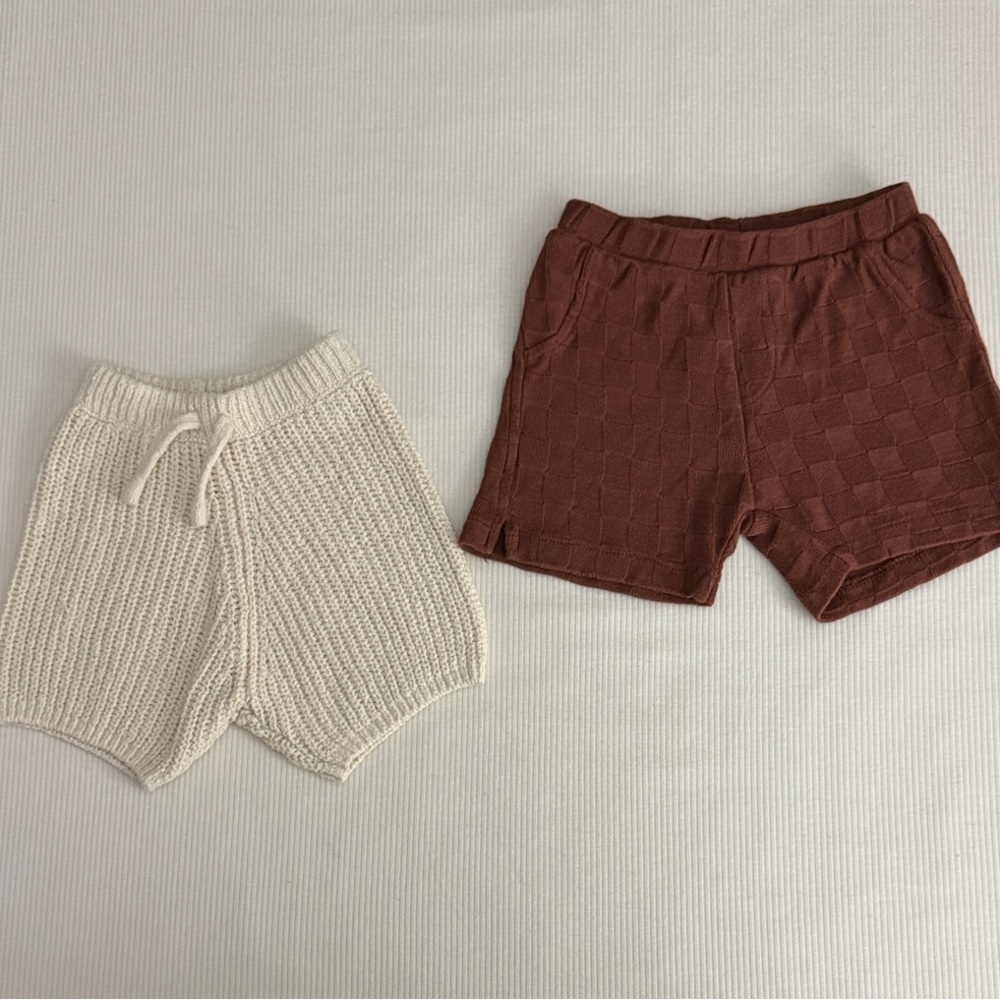 Zara Shorts
